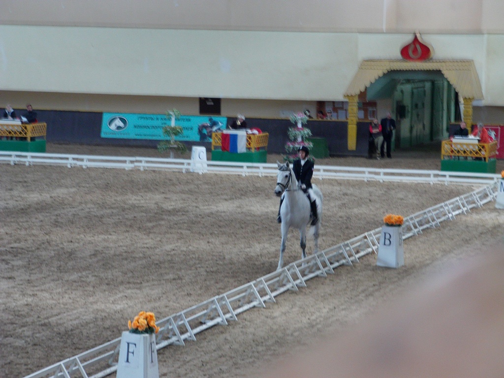 Битца - Чемпионат России - 2010